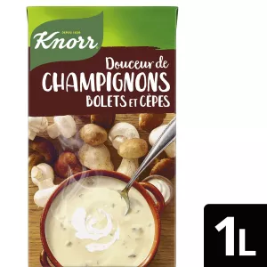 Boletus and Porcini Mushroom Soup 1l - Knorr