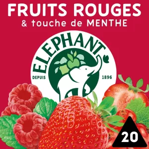 Elefante Inf Fresh Fr Ment 20p