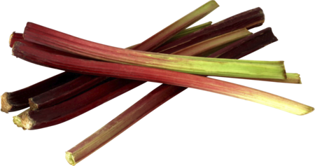 Rhubarbe Vrac Au Kg