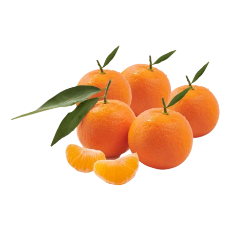 Mandarines 1kg