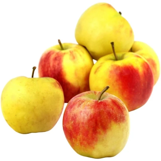 Pomme Elstar Vrac Au Kg