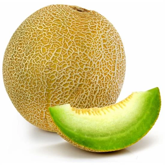 Melon Galia Piece