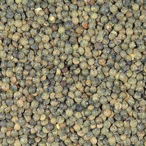Lentilles Vertes   500g - Legumor
