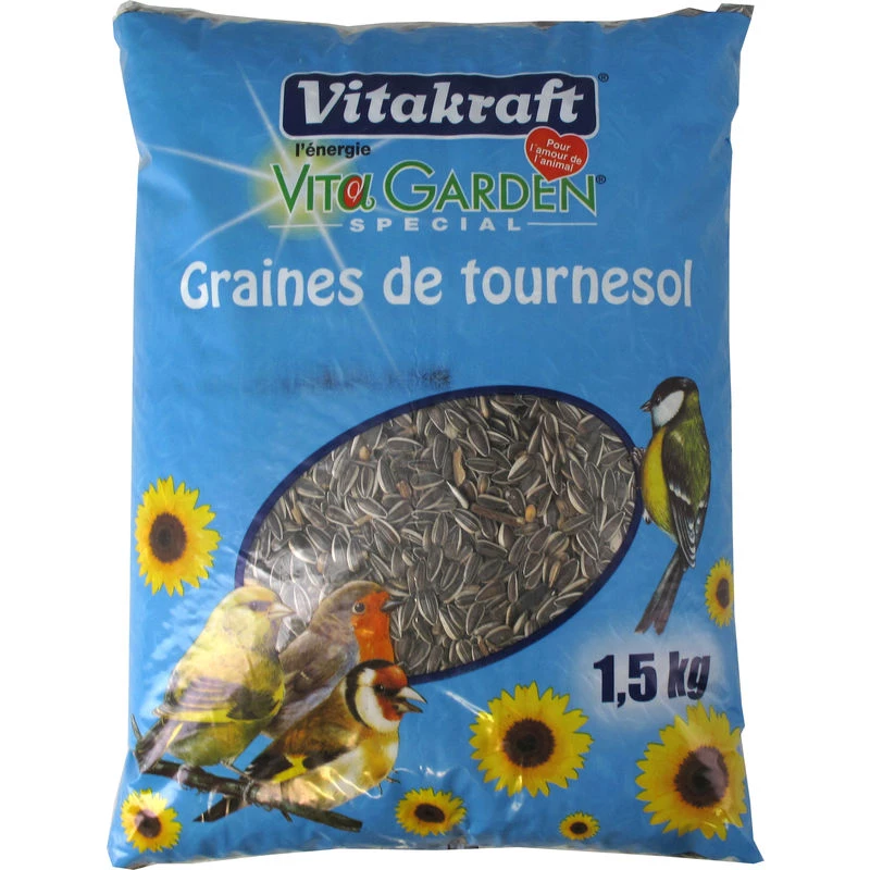 Sementes de Girassol 1 5kg