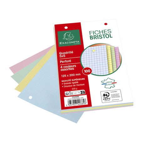 100f Bristol 12 5x20 Exacompta