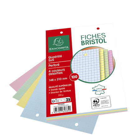 100f Bristol 14 8x21 Exacompta