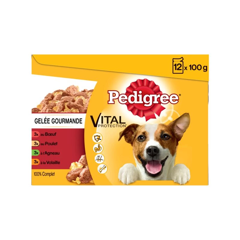Gourmet Jelly bag for dogs 12x100g - PEDIGREE