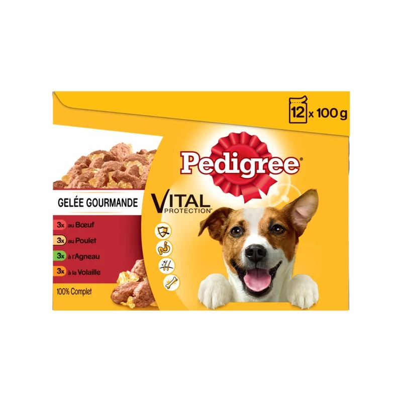 Saco de Geleia Gourmet para cães 12x100g - PEDIGREE