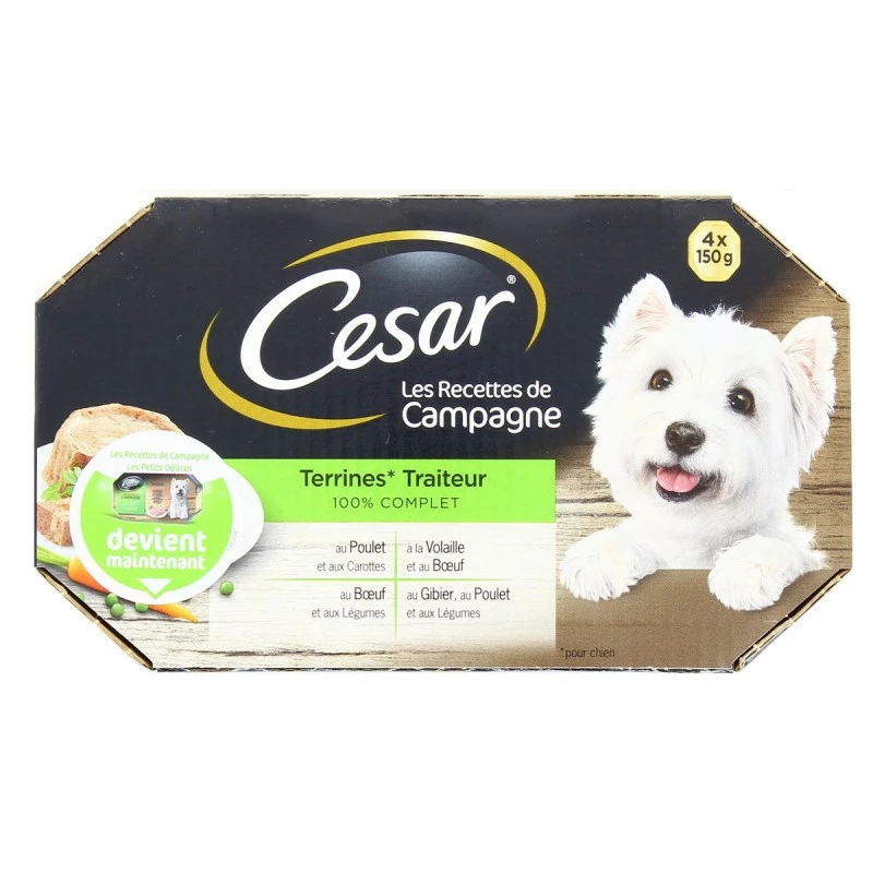 Patée pour chien terrine traiteur 4x150g - CÉSAR