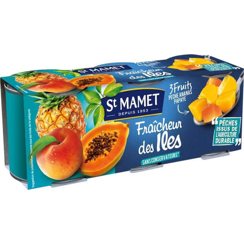 Fruits in fresh island syrup 125g - ST MAMET