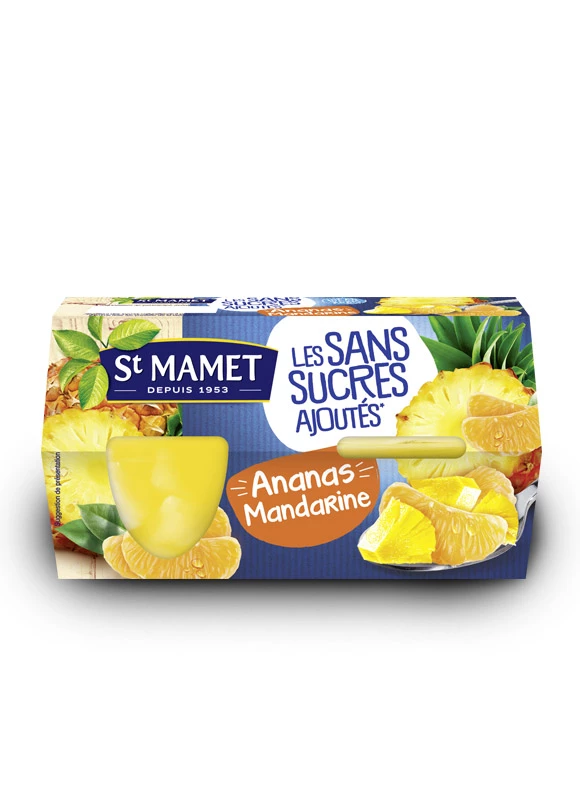 Fruit in ananas-mandarijnensiroop 480g - ST MAMET