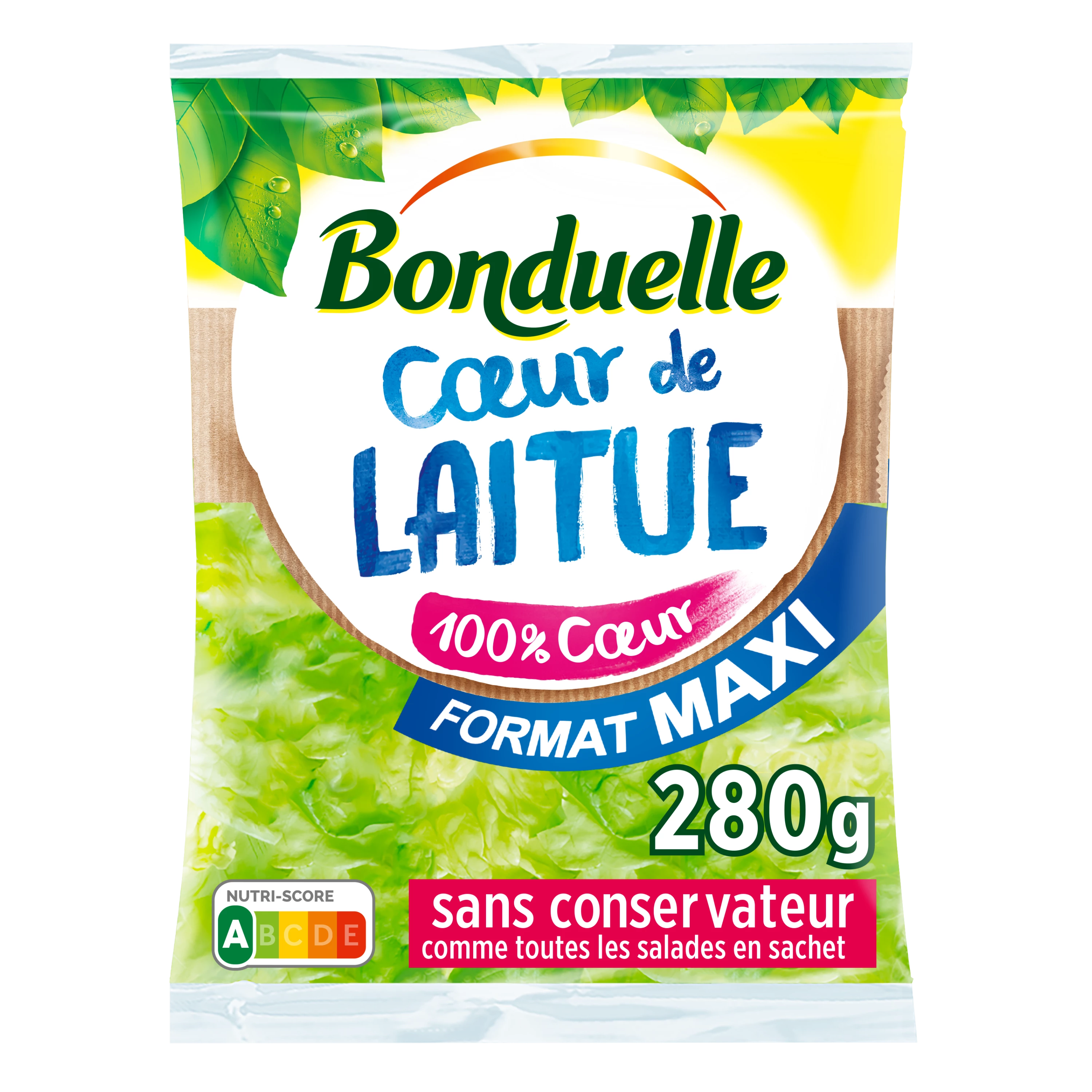 Heart of Lettuce 180g Bonduelle