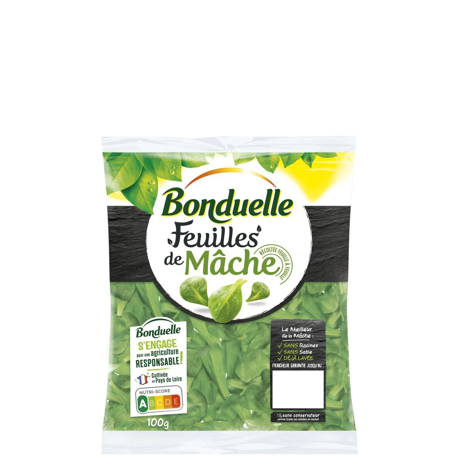Karatasi ya Mache 100g - BONDUELLE
