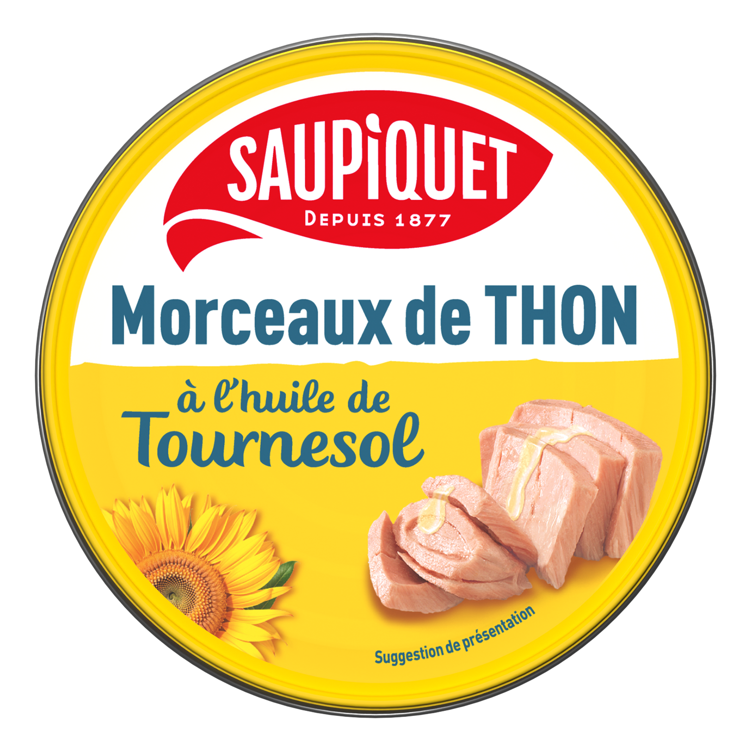 01 X 15 Thon Morceaux H Tourn