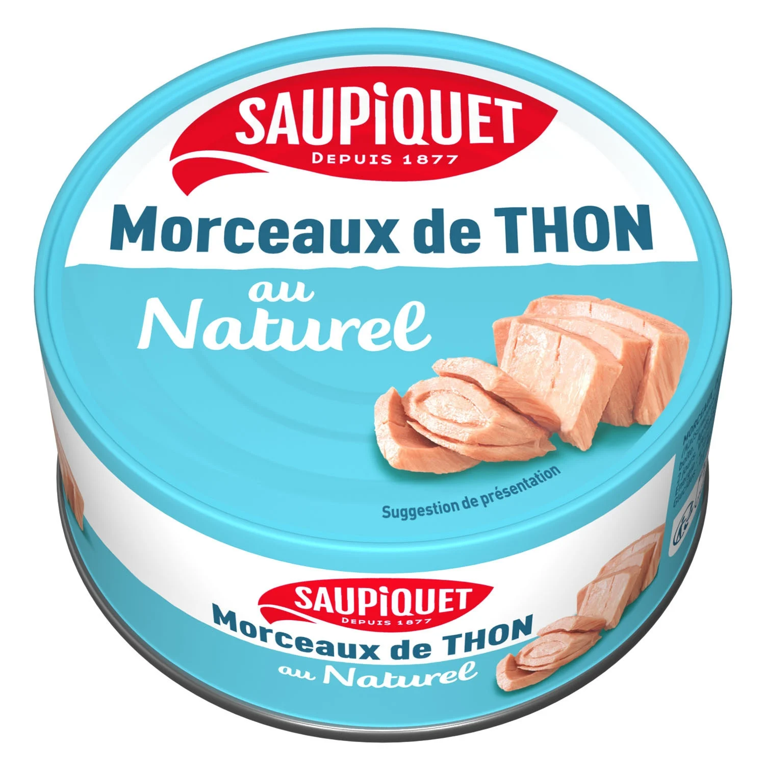 01 X 15 Thon Morceaux Naturel