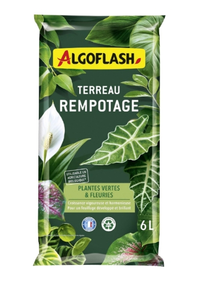 Terr Rempot Plantesv 6l