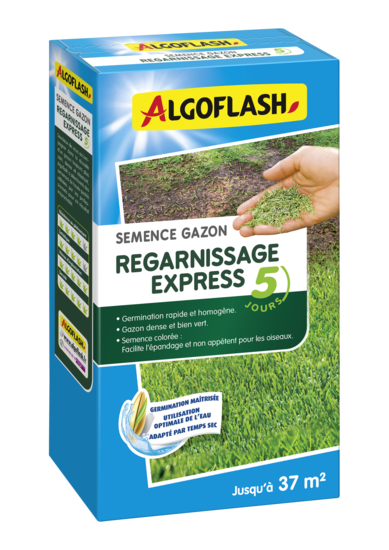 Semence Regarni 800g