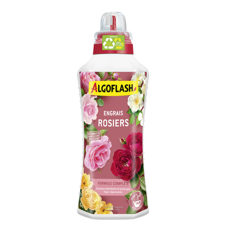 Eng Rosier 1l