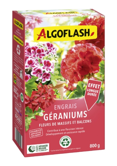 Eng Geranium 800g
