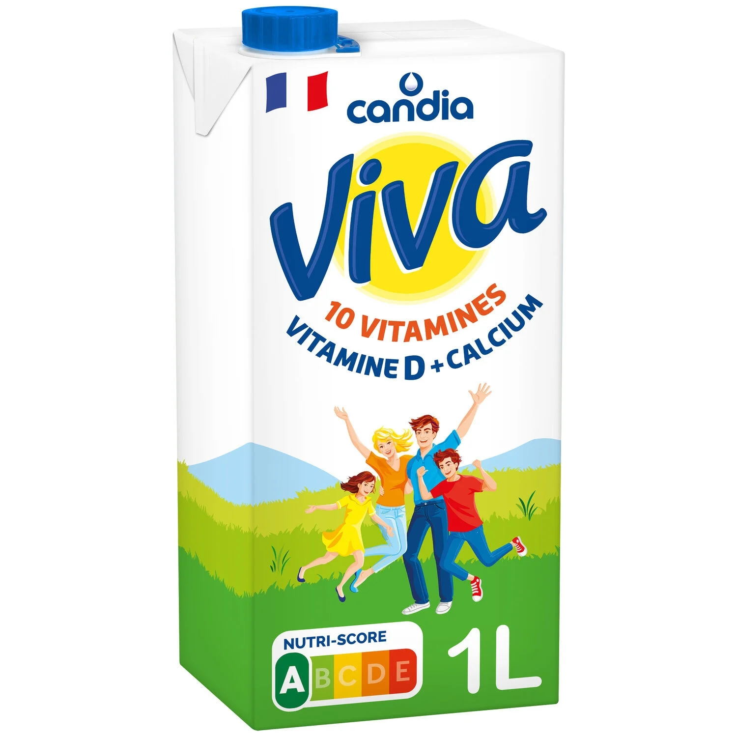 Viva Vitamine Brique 1 L