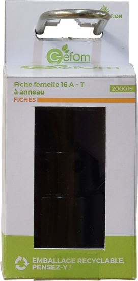 Fiche Femelle 16a T A Anneau N