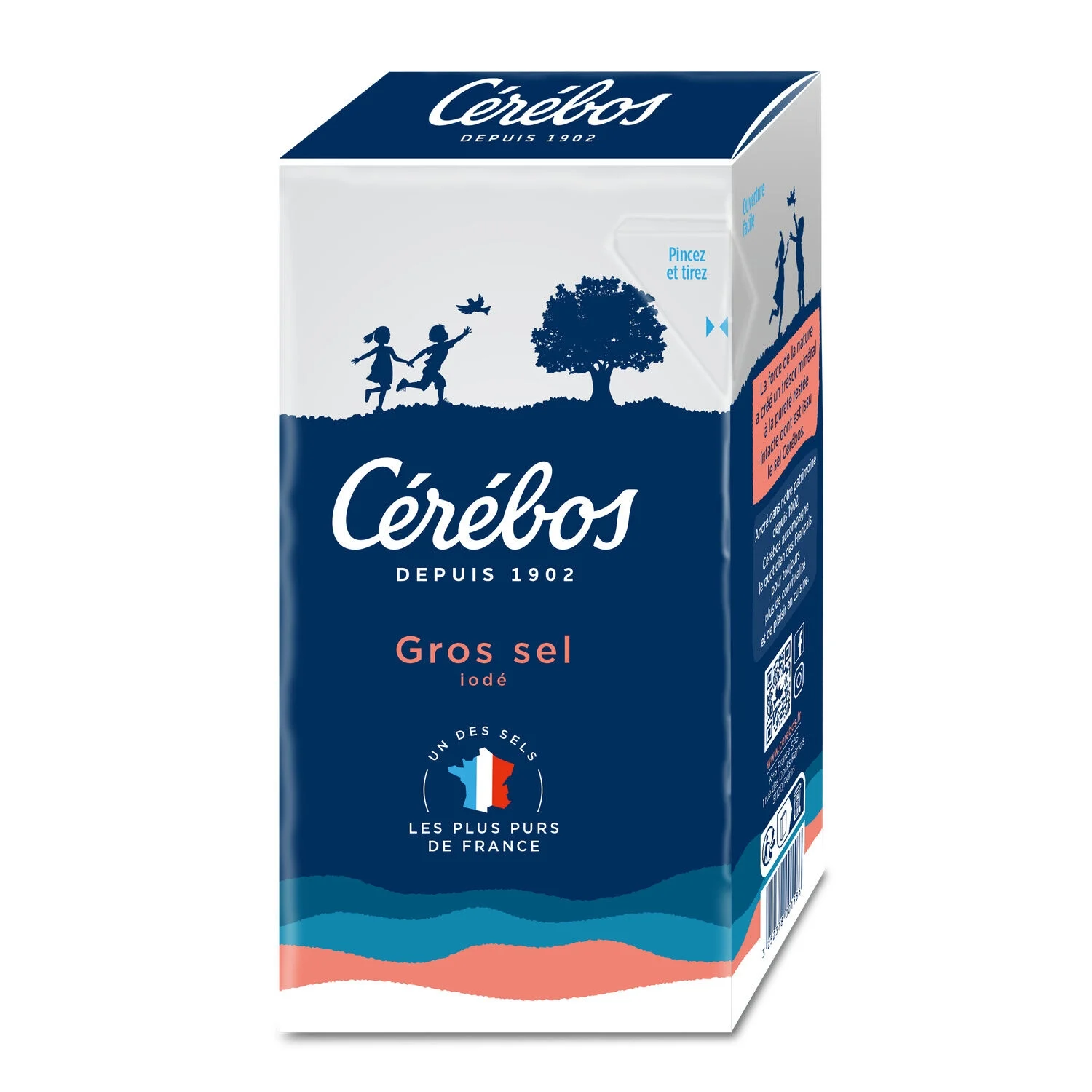 粗碘盐1kg - Cerebos