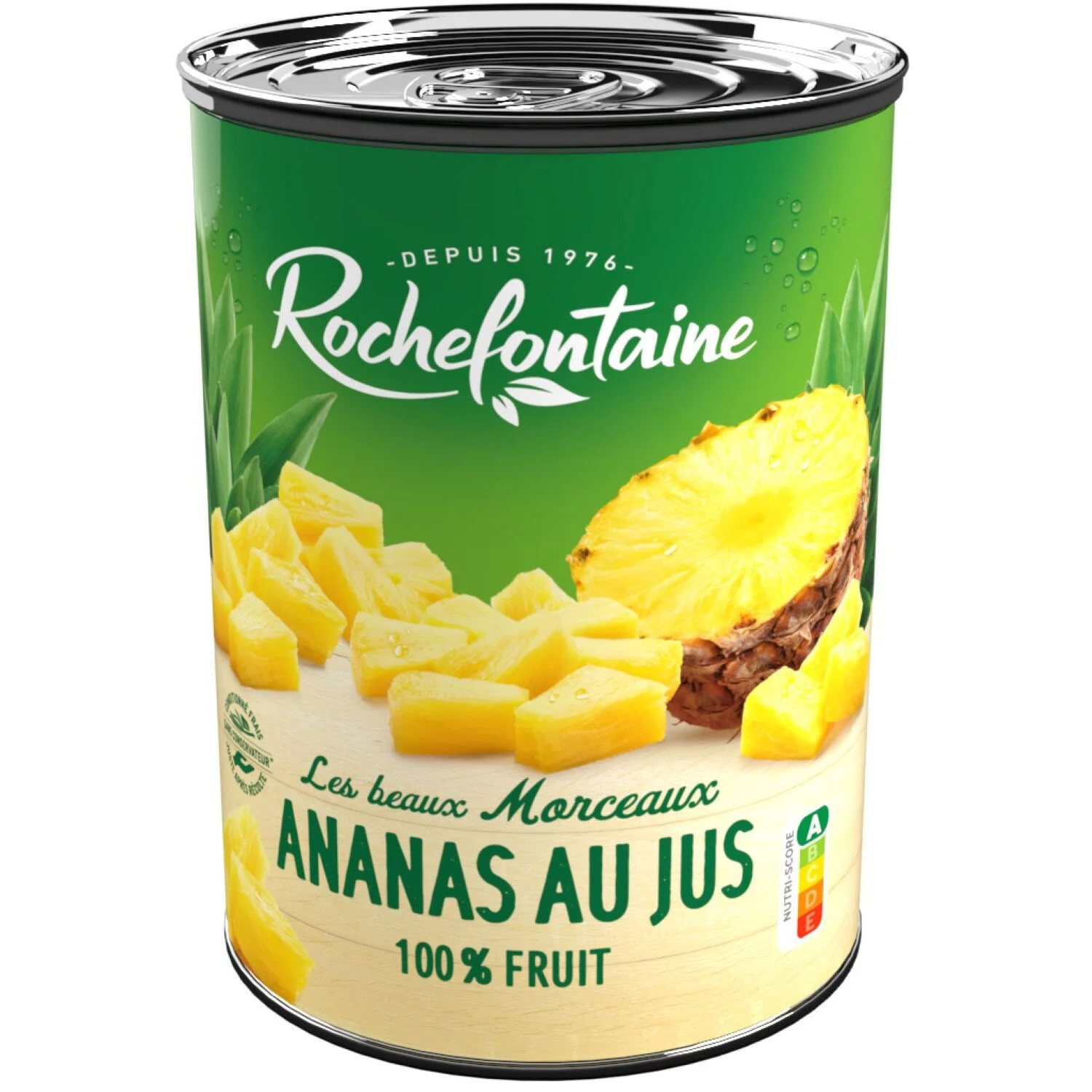 Fruit Op Siroop Ananasstukjes Met Sap 567g - Rochefontaine