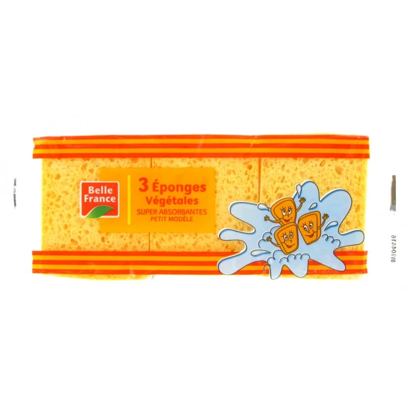 Super Absorbent Vegetable Sponge Small Model x 3 - BELLE FRANCE