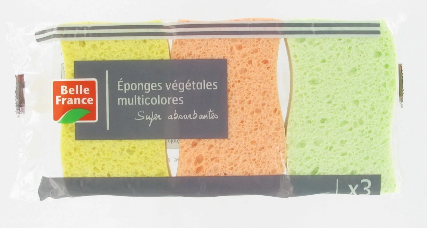 Multicolored Vegetable Sponge x 3 - BELLE FRANCE