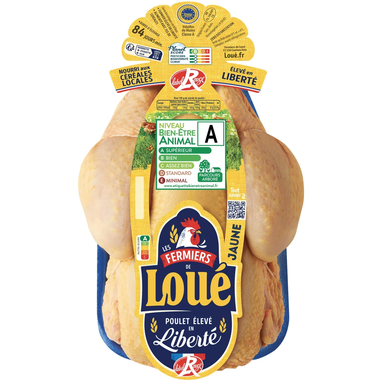 Kg Yellow Chicken Lr Loue