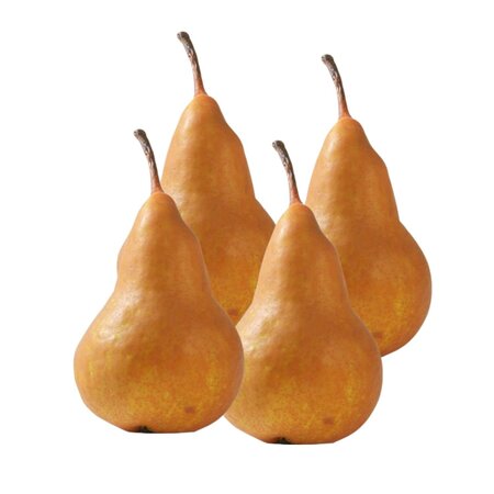 Poire Selena Bio X4 Fr