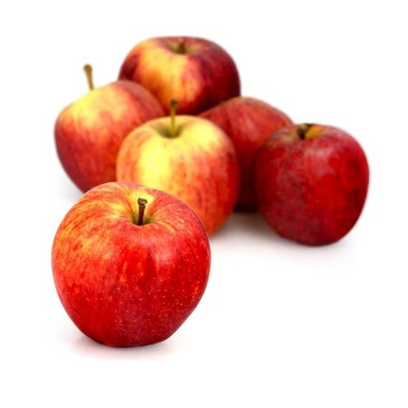 Bio Pom Bicolore Cdt 1 5kg Fr