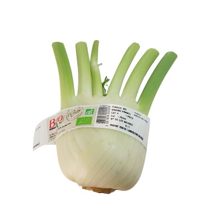 Bio Fenouil Piece Fr