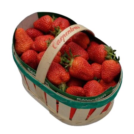 Pan Bois 500g Frais Carpentra