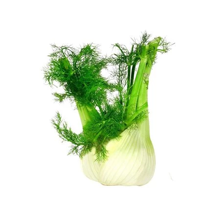 Fenouil Vrac Au Kg