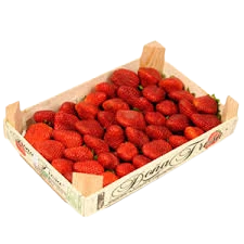 Plt 1kg Fraise Ronde