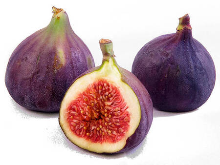 Kg màu đen violet fig - AUTRES MARQUES