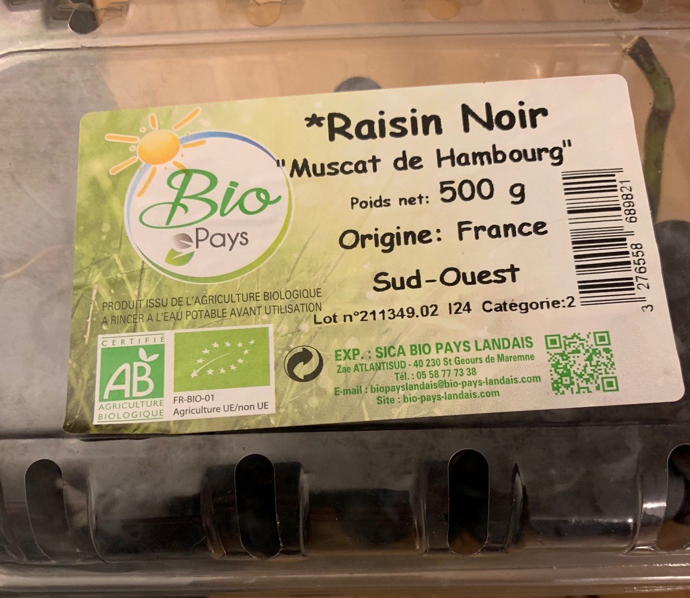 Bq500g Raisin Noir Bio Fr