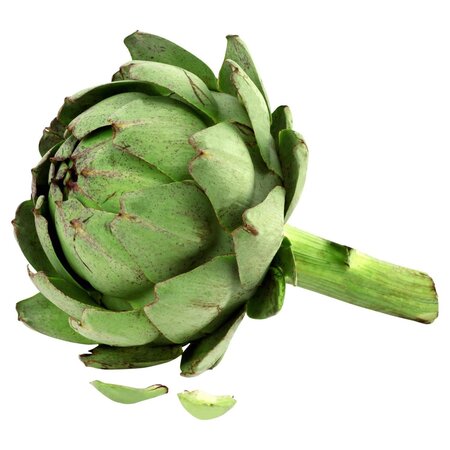 Artichaut Blanc Bio Pce Fr