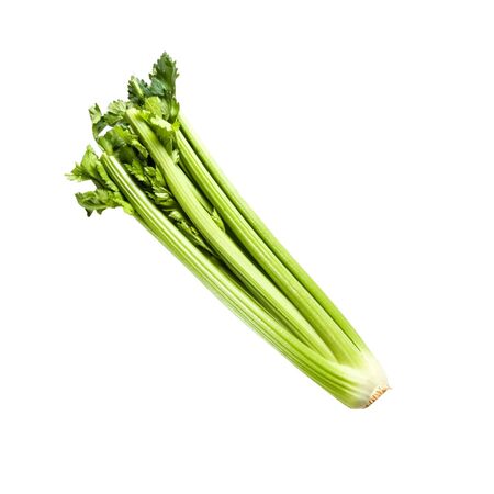 Celeri Branch Bio Ruban