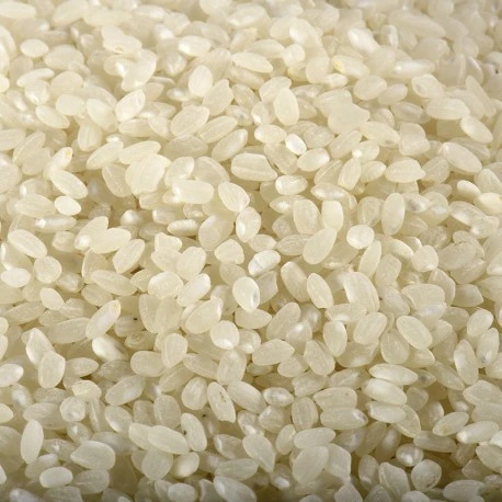 25kg white round rice - RIZ DU MONDE