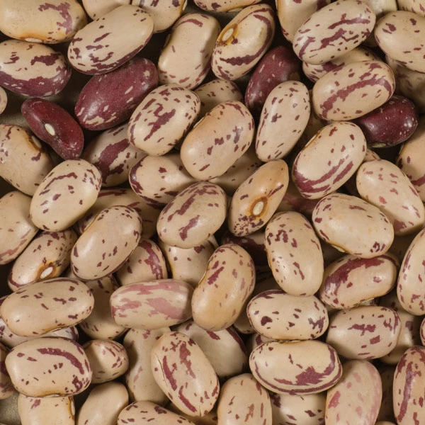 Rose Cocos 25 kg - LÉGUMOR
