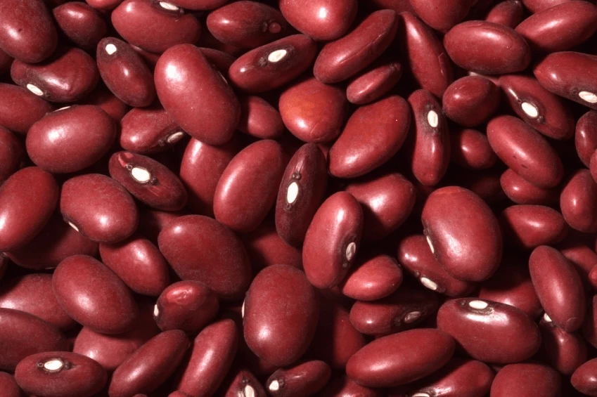 Red Beans 25kg - LÉGUMOR