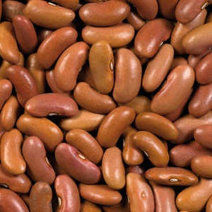 Pink Beans 25kg - LÉGUMOR