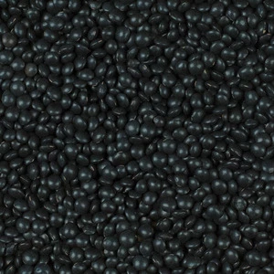 Lentil Black Beluga Canada 25kg - Legumor