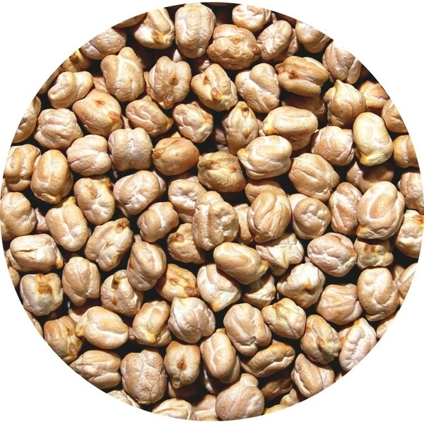 Very Large Chickpeas Mexico 25kg - Henri Bardouin