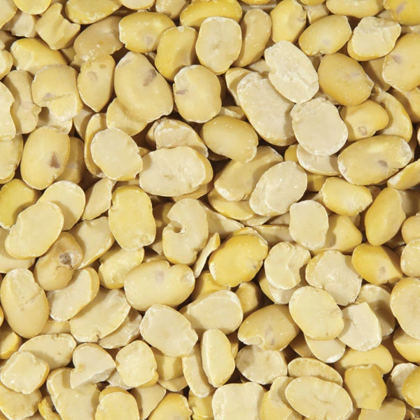 Shelled Broad Bean 25kg - LÉGUMOR