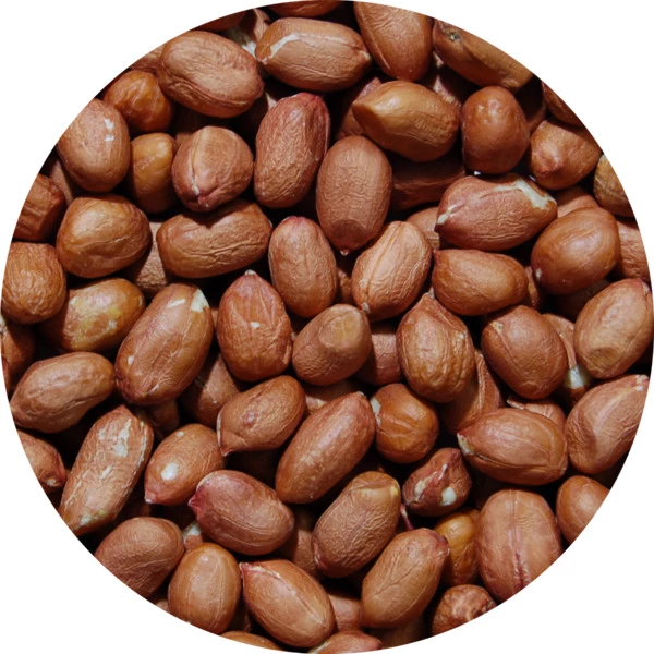 Raw Shelled Peanuts 35/40 25 Kg - PROFRUIT