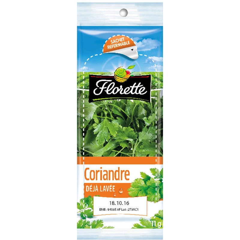 Coriander Bag 11g