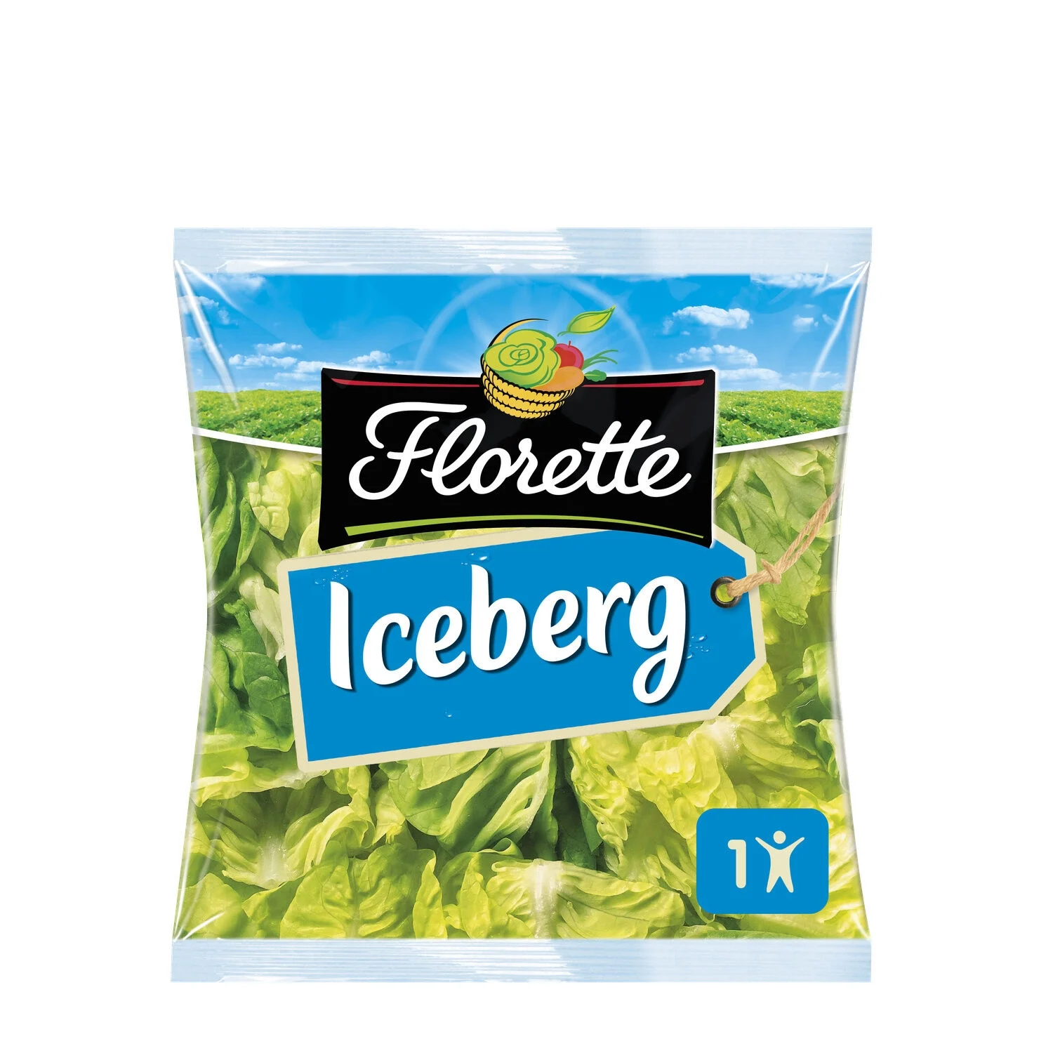 Mini iceberg da 90 g